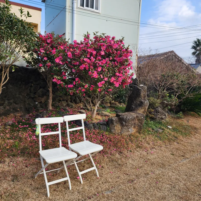 [Hangyeong, Jeju] Jeju Ozen, a sentimental private home on the west coast 37