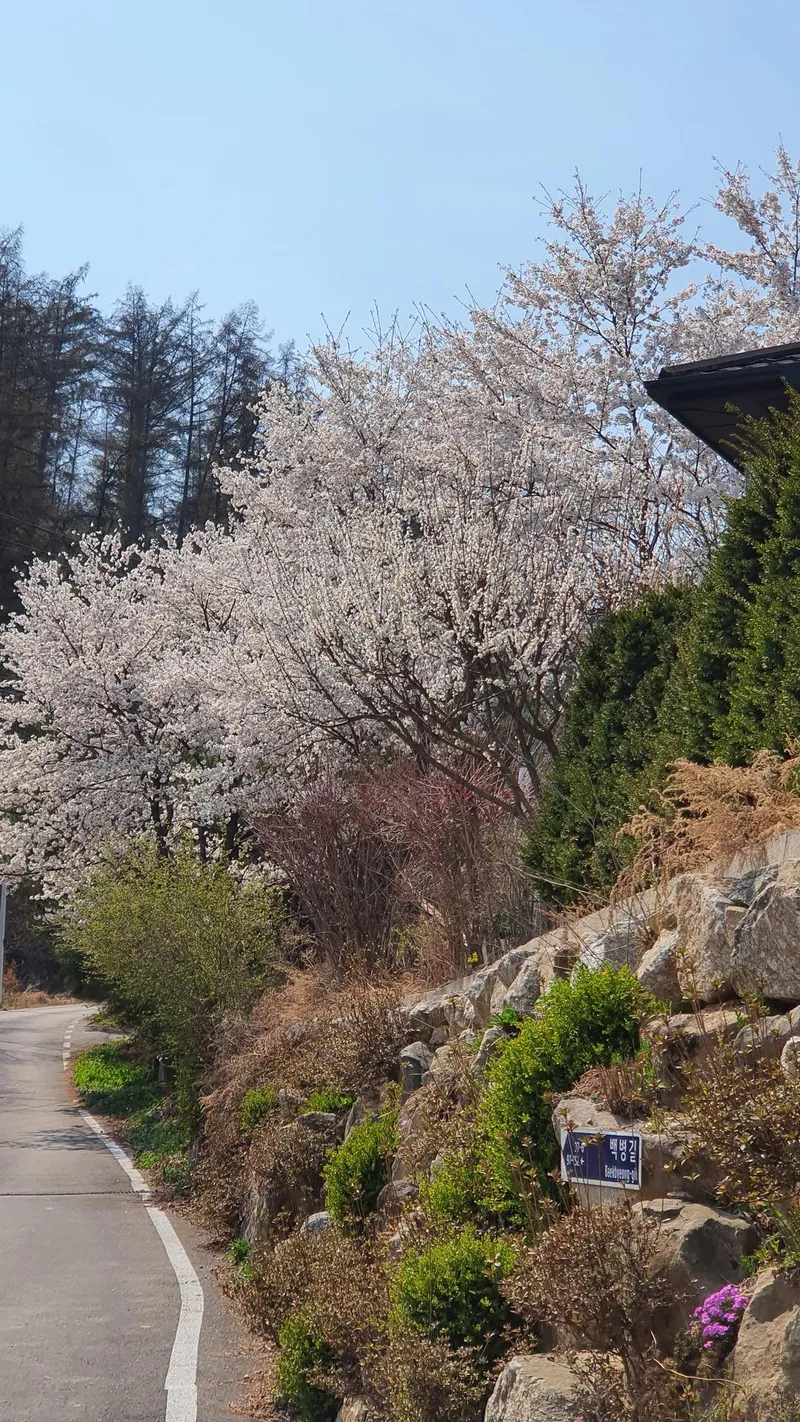 [Yangpyeong] Three-sided Mountain View, 10 minutes by car to Yangpyeong Station, detached one-room independent house 73