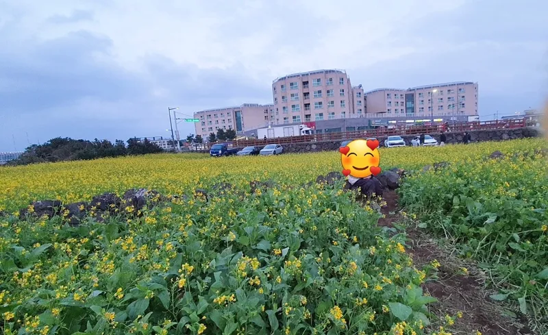 [Seongsan, Seogwipo] Sunrise Peak Penthouse Ocean View Two-Room Duplex Residence 44