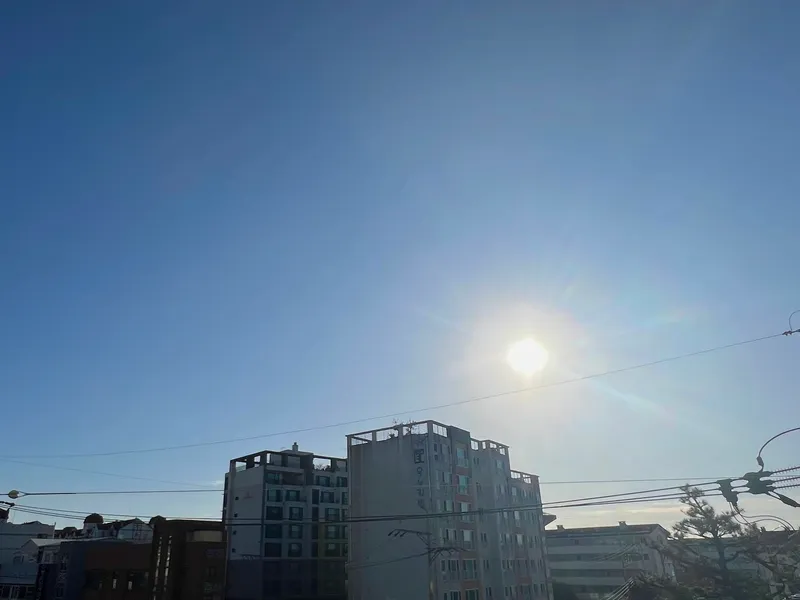 [서귀포 동홍동] 위치최고 교통편리 #올레시장도보10분 3