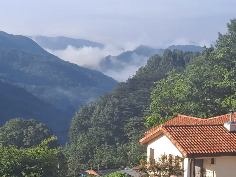 [Hapcheon] Gayasan Mountain View Forest District 2nd Floor 4 Room Private House #Barbecue Grill Yard Pond 24