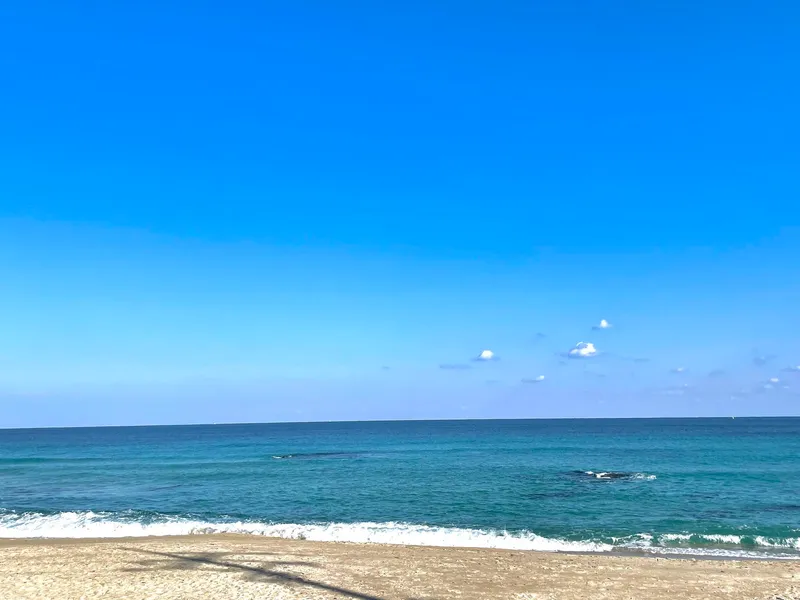 [강원 강릉] 오션뷰 아파트#해변도보4분#가족#1월1일#오션뷰 35