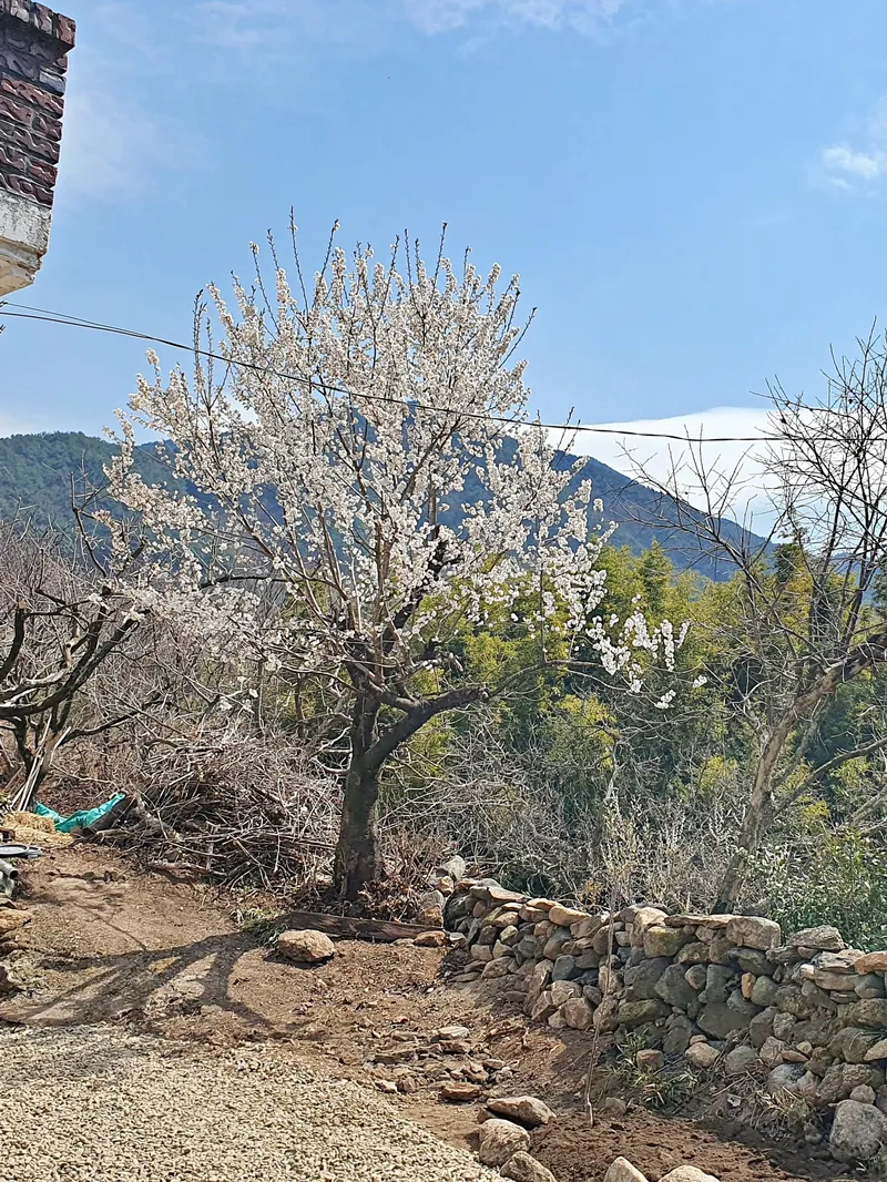 [경남 하동] 평사리들판 백운산전망의 리트릿플레이스 by롯지85 45