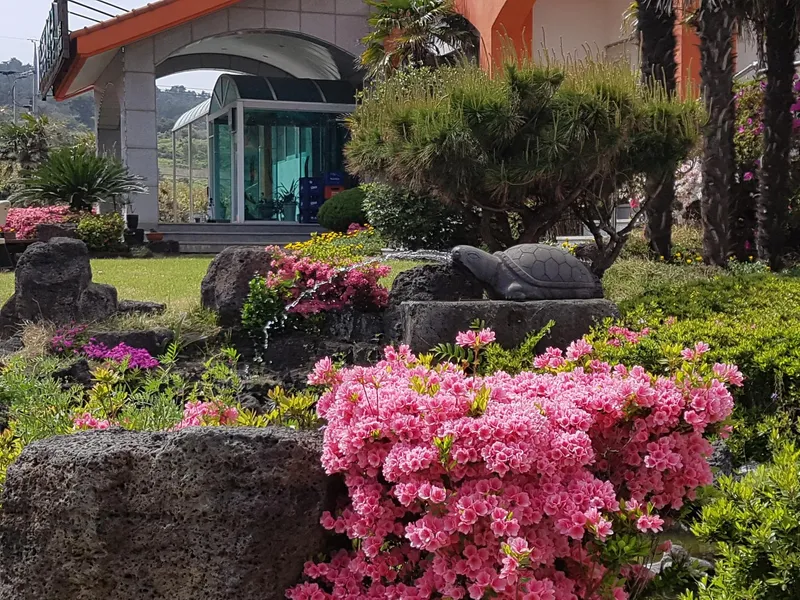 [Jocheon, Jeju] One-room pension with ocean view 11