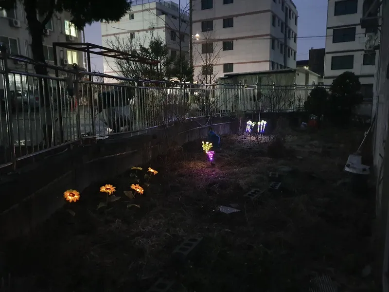[Paju] Room 104 Netflix + YouTube [Electric bed mat used] 65