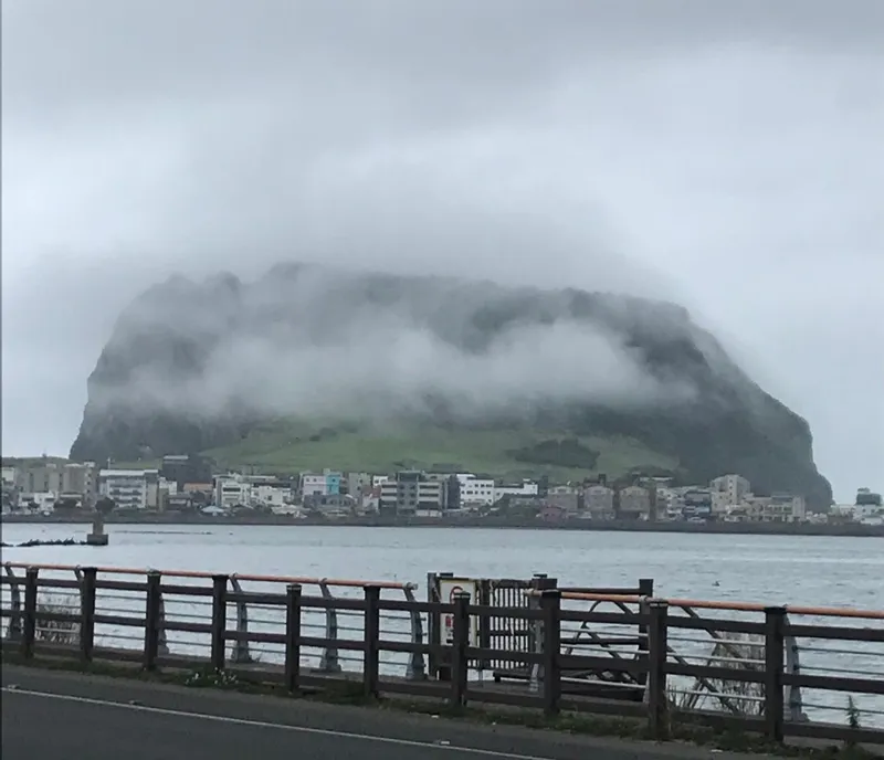[Seongsan, Seogwipo] Sunrise Peak Penthouse Ocean View Two-Room Duplex Residence 54