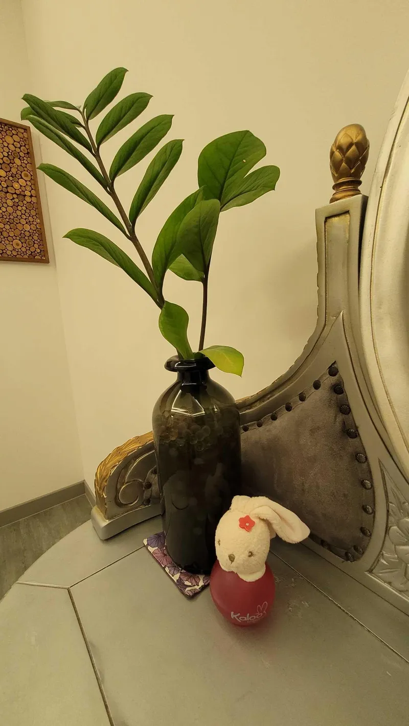 [Andeok, Seogwipo] Dog-friendly accommodation with a sea view near Daepyeongpo Port, Andeok-myeon 24