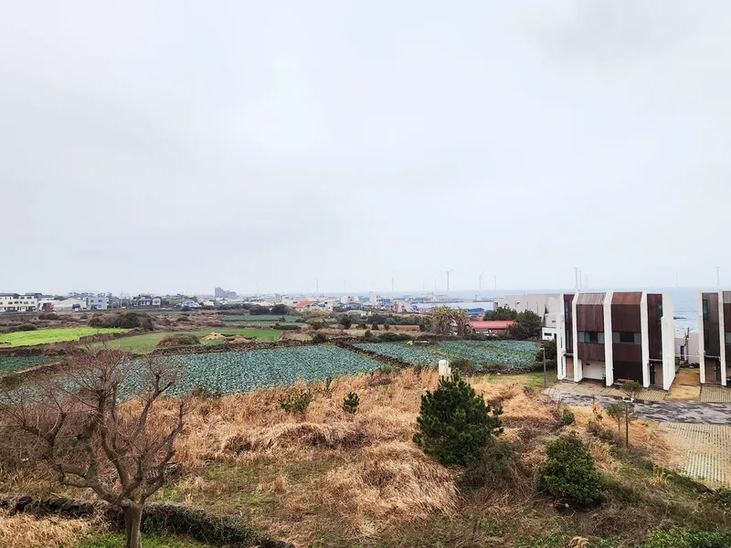 [제주 한림][제주 한림 애월] 가족단위 한달살기 투룸#바다뷰#한라산뷰 25