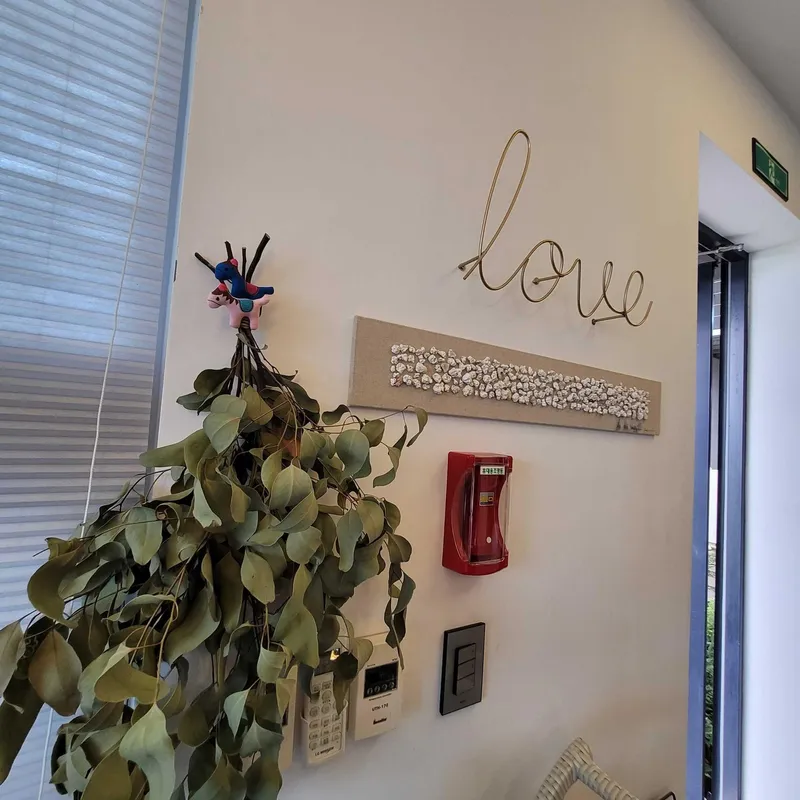 [Andeok, Seogwipo] Dog-friendly accommodation with a sea view near Daepyeongpo Port, Andeok-myeon 23