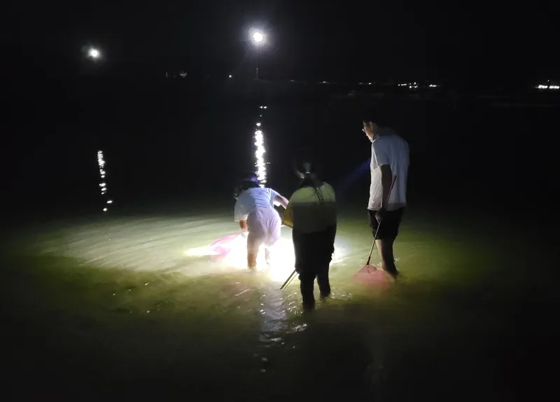 [경남 거제] 모든 객실 바다뷰 펜션 132