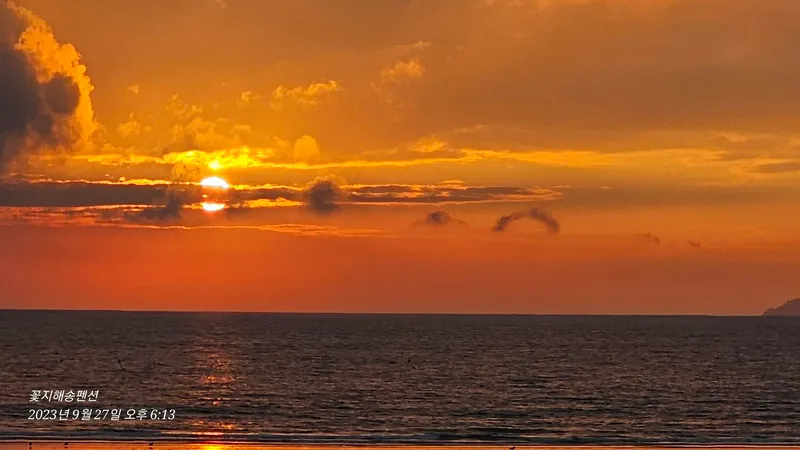 [Taean][Taean Anmyeondo] 1 minute walk from the beach, dogs allowed 6