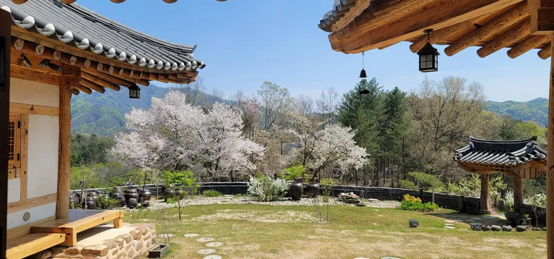 [강원 홍천] 개인산책 숲속길을 보유한 힐링 독채한옥 4