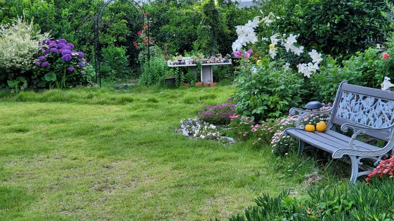 [Namwon, Seogwipo] 13 pyeong Flower Healing Pension, 5 minutes walk from the sea in the tangerine orchard in Namwon-eup 15