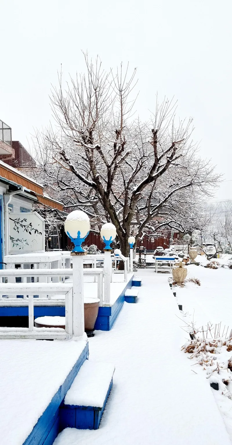 [Ganghwa, Incheon] Gallery Pension run by a painter 24