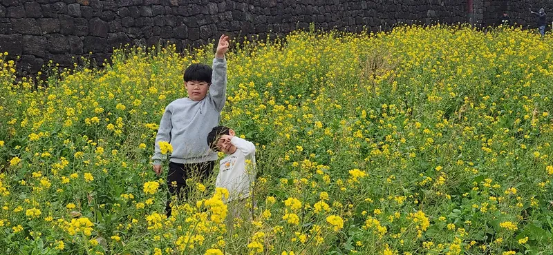 [서귀포 표선] 오롯이 제주감성과 조용한 휴식공간 55