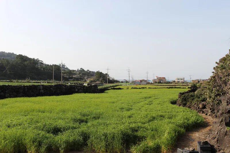 [Jocheon, Jeju] One-room pension with ocean view 5