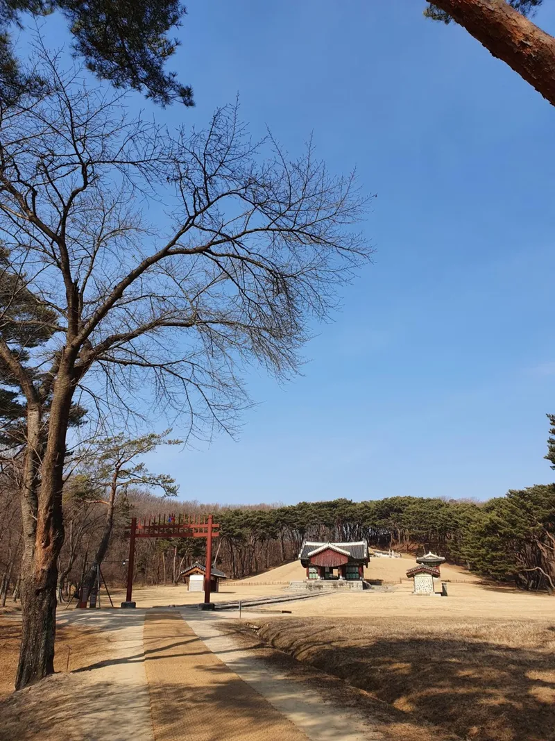 [경기 파주] 304호 Netflix+Youtube시청[침대전기메트사용] 107