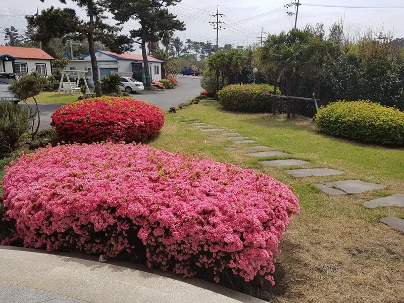 [Jocheon, Jeju] One-room pension with ocean view 10