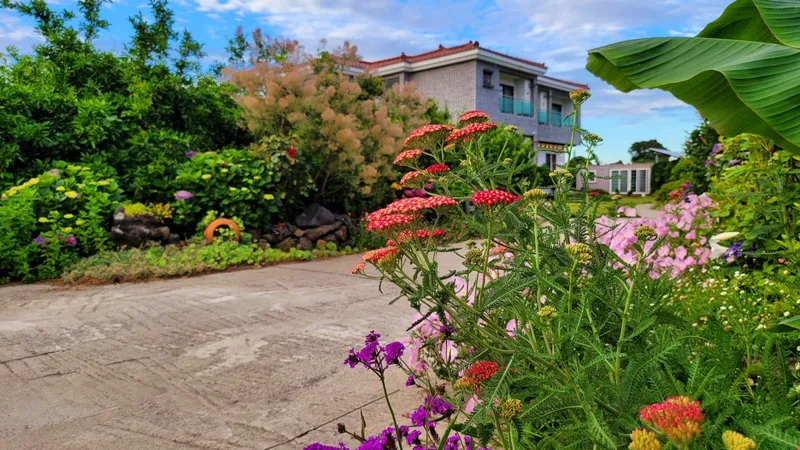[Namwon, Seogwipo] 13 pyeong Flower Healing Pension, 5 minutes walk from the sea in the tangerine orchard in Namwon-eup 13