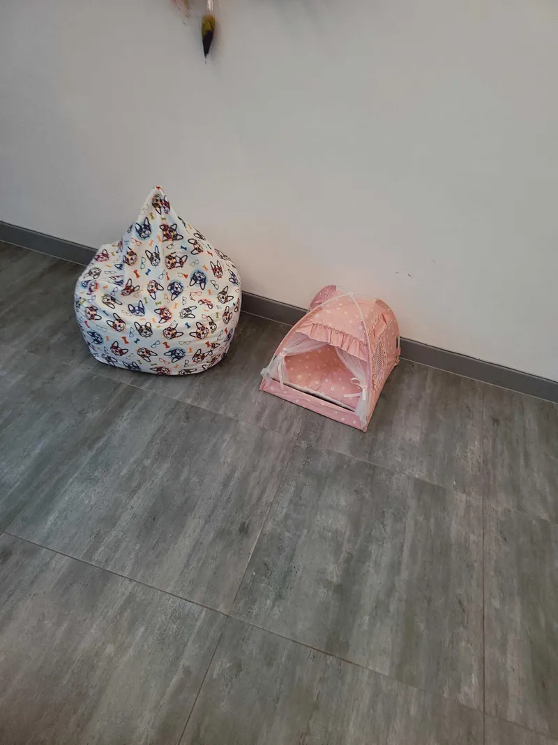 [Andeok, Seogwipo] Dog-friendly accommodation with a sea view near Daepyeongpo Port, Andeok-myeon 29