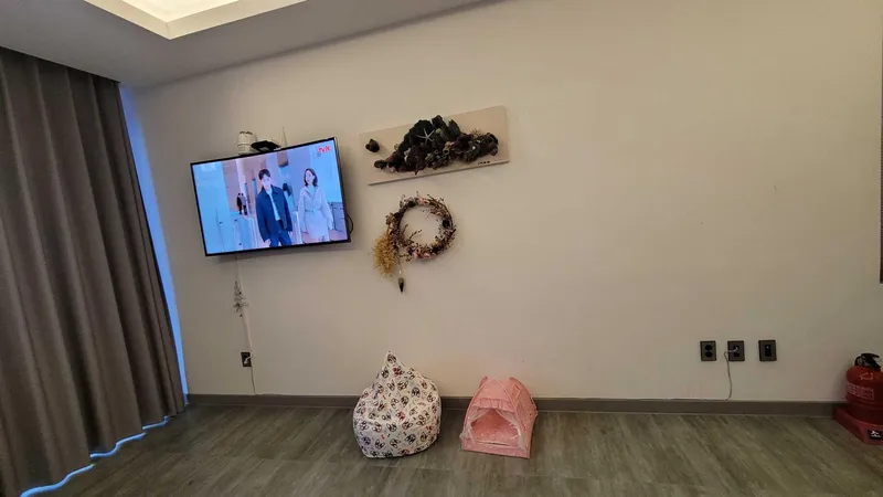 [Andeok, Seogwipo] Dog-friendly accommodation with a sea view near Daepyeongpo Port, Andeok-myeon 7