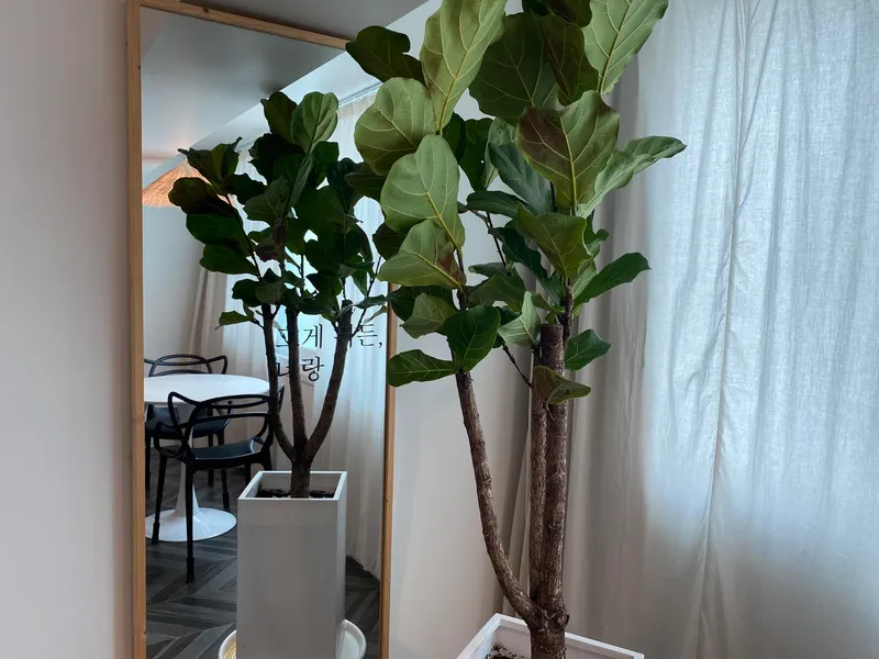 [Gangneung] Hot place in Chodang-dong, cozy and warm studio-style Instagram-worthy accommodation 12