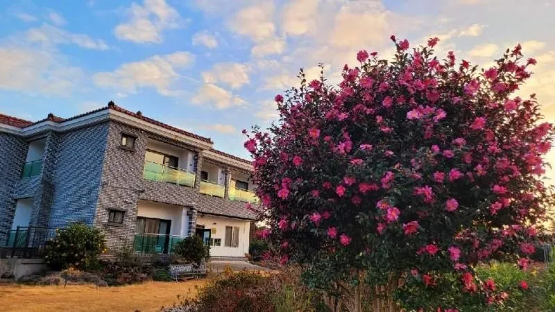 [Namwon, Seogwipo] 13 pyeong Flower Healing Pension, 5 minutes walk from the sea in the tangerine orchard in Namwon-eup 16