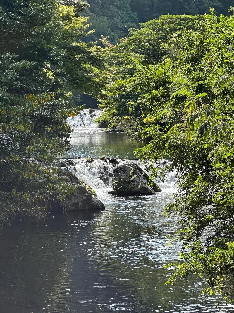 [Daepo-dong, Seogwipo] Two-room villa with a beautiful garden with lots of palm trees 28