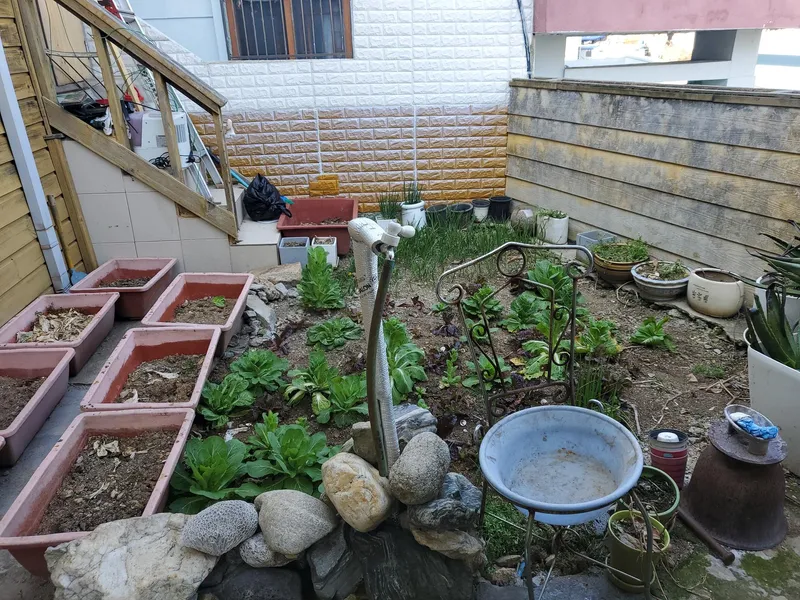 [부산 동구][부산 동구)하늘노래방ㅡ영화촬영지 전체편백 바베큐 반려견1,2층분리가능 36
