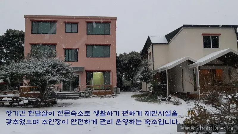 [Pyoseon, Seogwipo] 201, a country house full of humanity in a palm tree forest by the sea 14