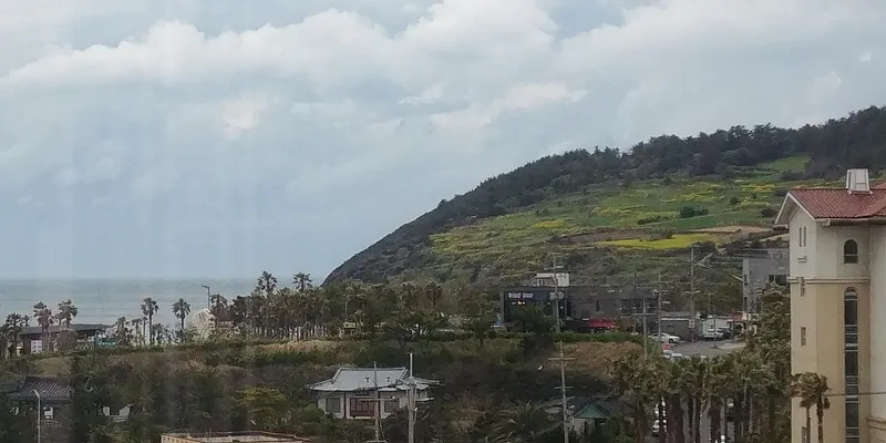 [제주 조천][제주 함덕]함덕 33형 함덕해변 및 한라산뷰 5분 한달임대 렌트하우스 42