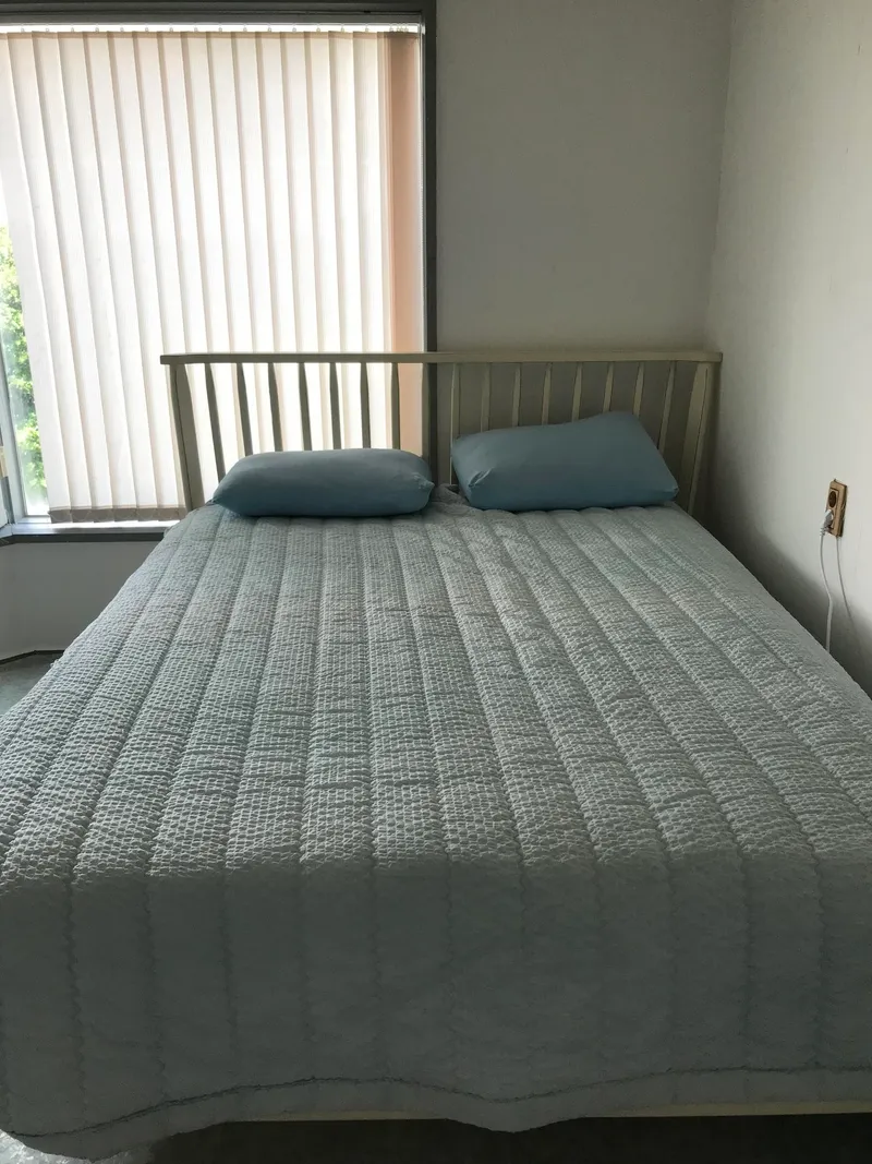 [Daepo-dong, Seogwipo] Two-room villa with a beautiful garden with lots of palm trees 22