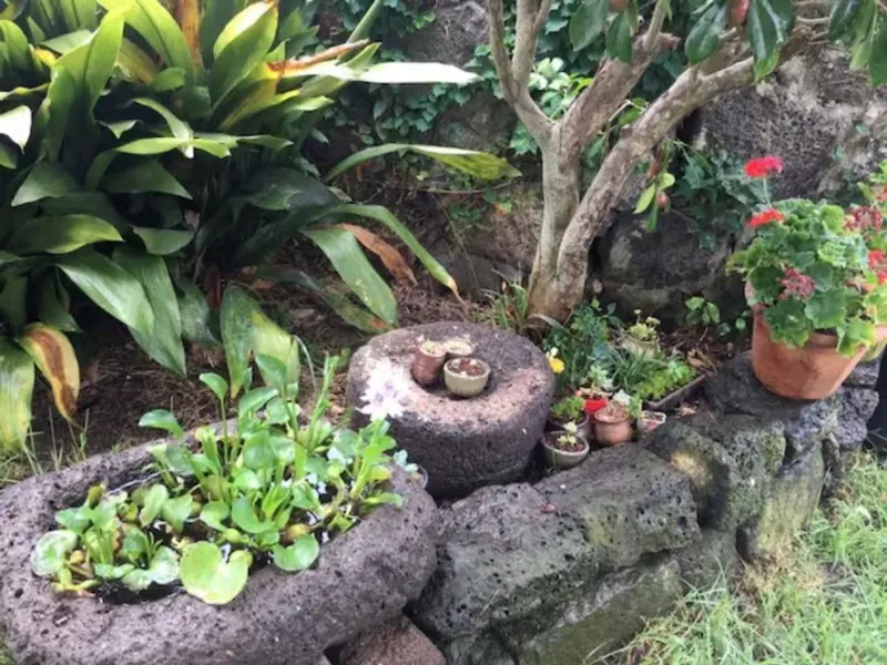 [Hallim, Jeju] Stone Wall House S with a lawn yard and stone wall 17