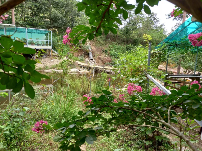 [Goseong] A villa-like house on the second floor of a mountain valley by the sea, Sopung-dong 7