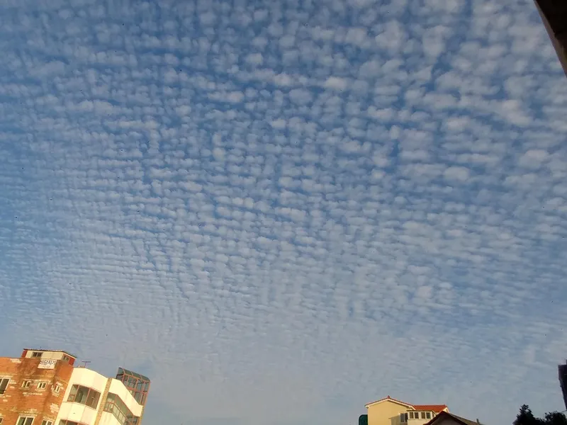 [제주 구좌] 월정 오션뷰와 몇걸음 거리 해수욕장 20