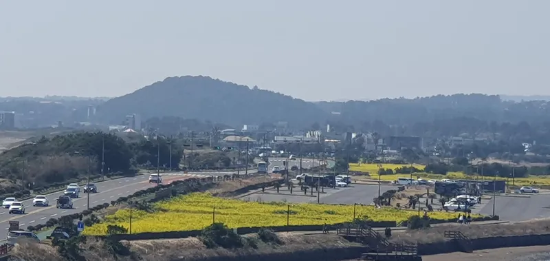 [Seongsan, Seogwipo] Sunrise Peak Penthouse Ocean View Two-Room Duplex Residence 40