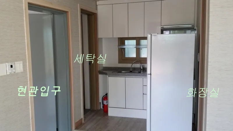 [Pyoseon, Seogwipo] 102nd house in a country house full of humanity in a palm tree forest by the sea 12