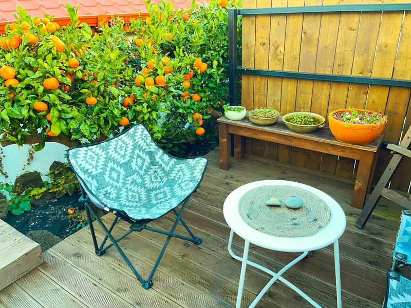 [Hahyo-dong, Seogwipo] Single accommodation near Soesogak 20