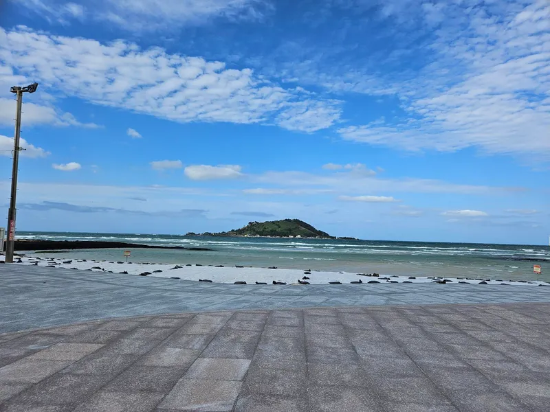 [제주 한림] 협재해변 5분, 편세권, 나만의 카페, 잔디마당 독채 23