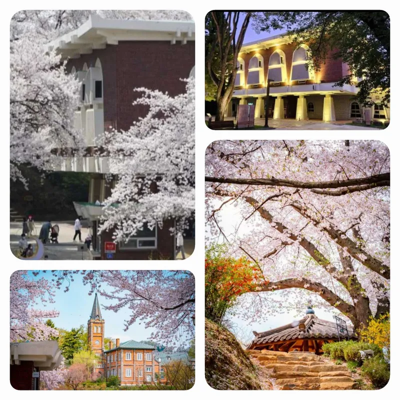 [Gongju][Chungnam Gongju night view restaurant] #Hotel class #New accommodation #Jemincheon #Gongsanseong #Chungnam History Museum♡ 18