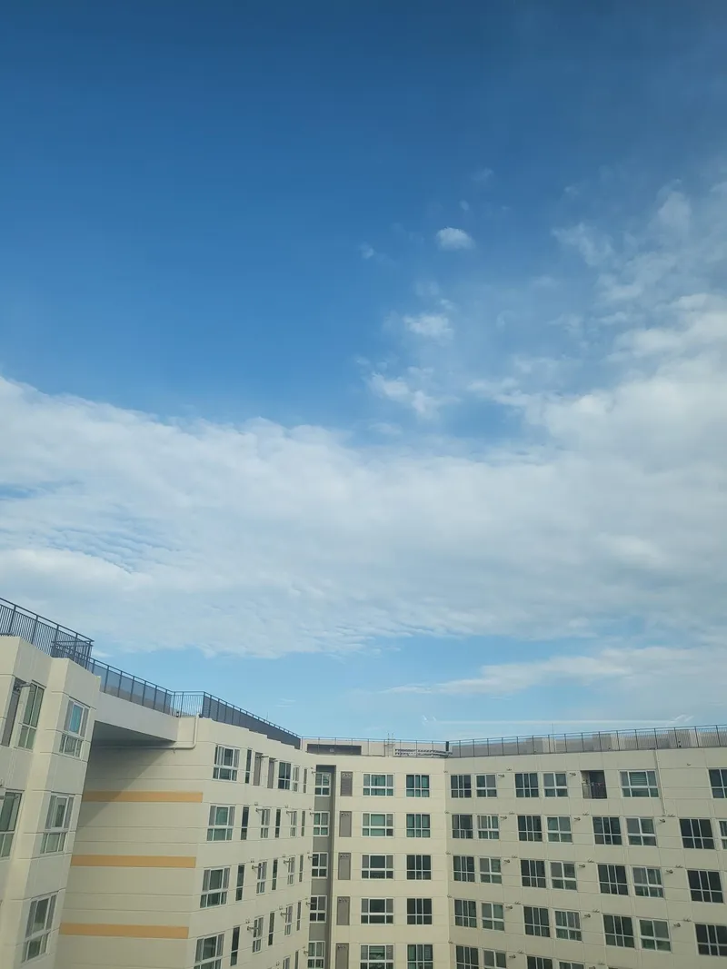 [제주 연동] 도심 럭셔리주상복합#식구많아호텔잡기힘든분들환영# 12