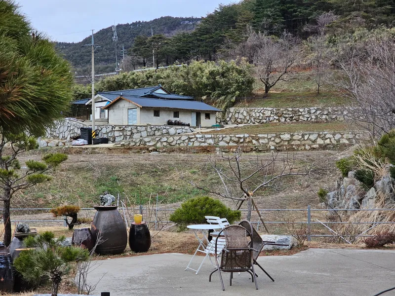 [강원 강릉] 사방이 소나무로 둘러싸인 숲세권 펜션 #산북 16