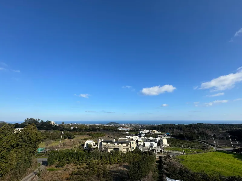 [제주 애월] 반려동물 동반가능한 투베드 리조트 (더블+싱글) 16
