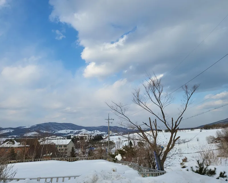 [Pyeongchang] Daegwallyeong Christmas 15
