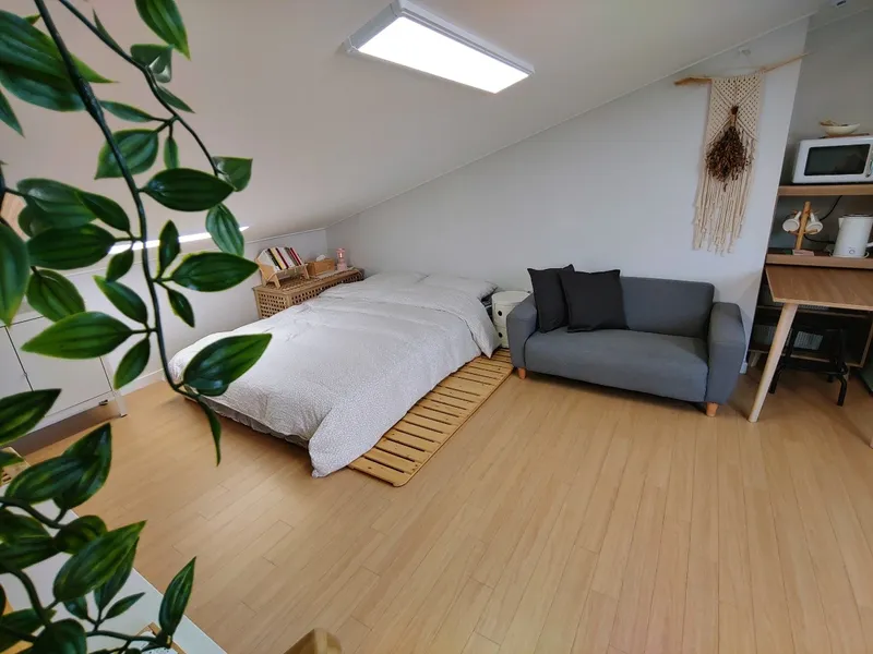 [Gangneung] Newly built pension 401 located on a lovely pine forest road in Chodang Sundubu Village 4