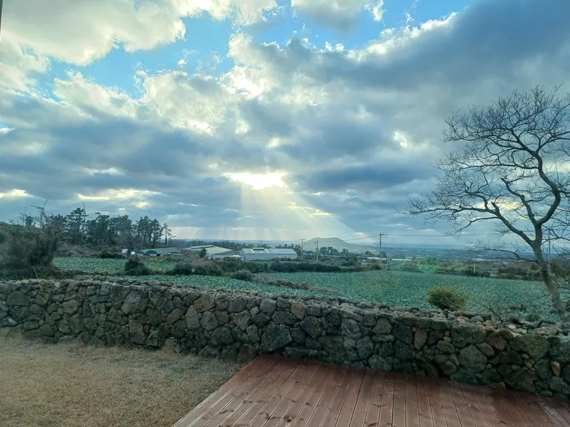 [Hallim, Jeju] Haha House #Single-family home #2nd floor #Comfortable #Sunset restaurant #Infant and toddler #Stone wall #Yard 32