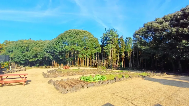 [Gujwa, Jeju] Jeju Shinsang Pension 102 with a beautiful garden and forest 25
