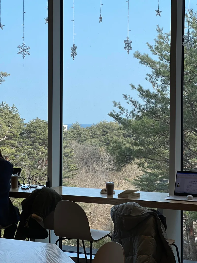 [강원 양양] 바다 근처 전면 오션뷰 감성숙소 #서피비치 5분 24