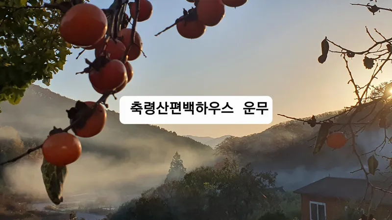 [Jangseong][Jeollanam-do Jangseong] The best phytoncide place in the country, Geumgok Film Village Cypress Pension 103 11