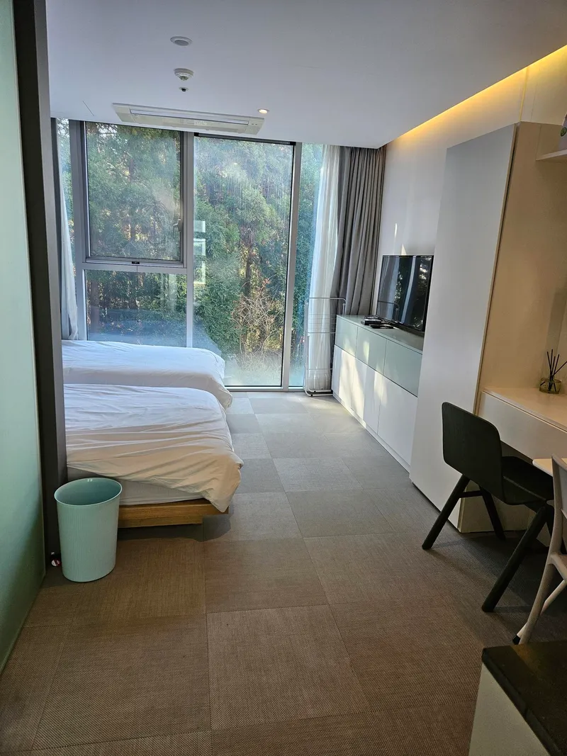 [Topyeong-dong, Seogwipo] P2 Taktwin Full-length glass healing twin bed half-forest forest forest forest view 2